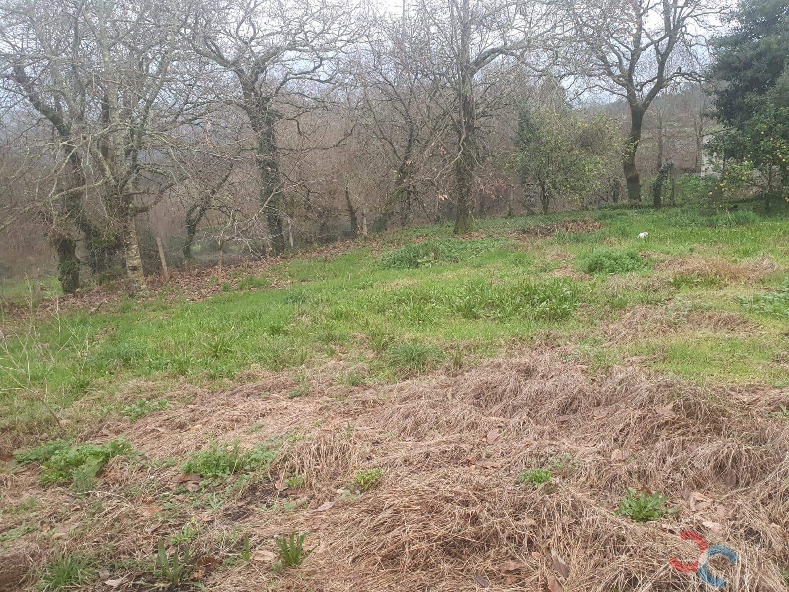 Ruin til salg i Ponte-Caldelas - € 80.000 (Ref: 8044845)