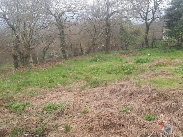 Ruin til salg i Ponte-Caldelas - € 80.000 (Ref: 8044845)