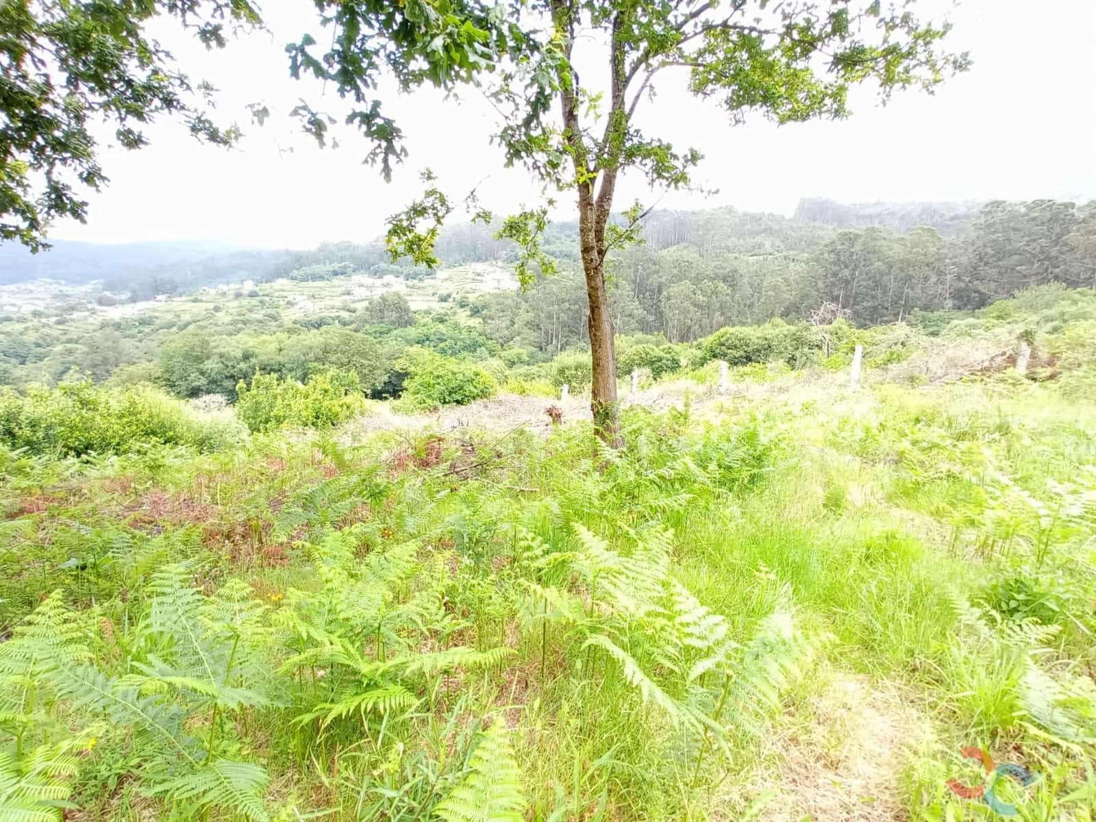 Building Plot for sale in Marin - € 15,000 (Ref: 8254891)