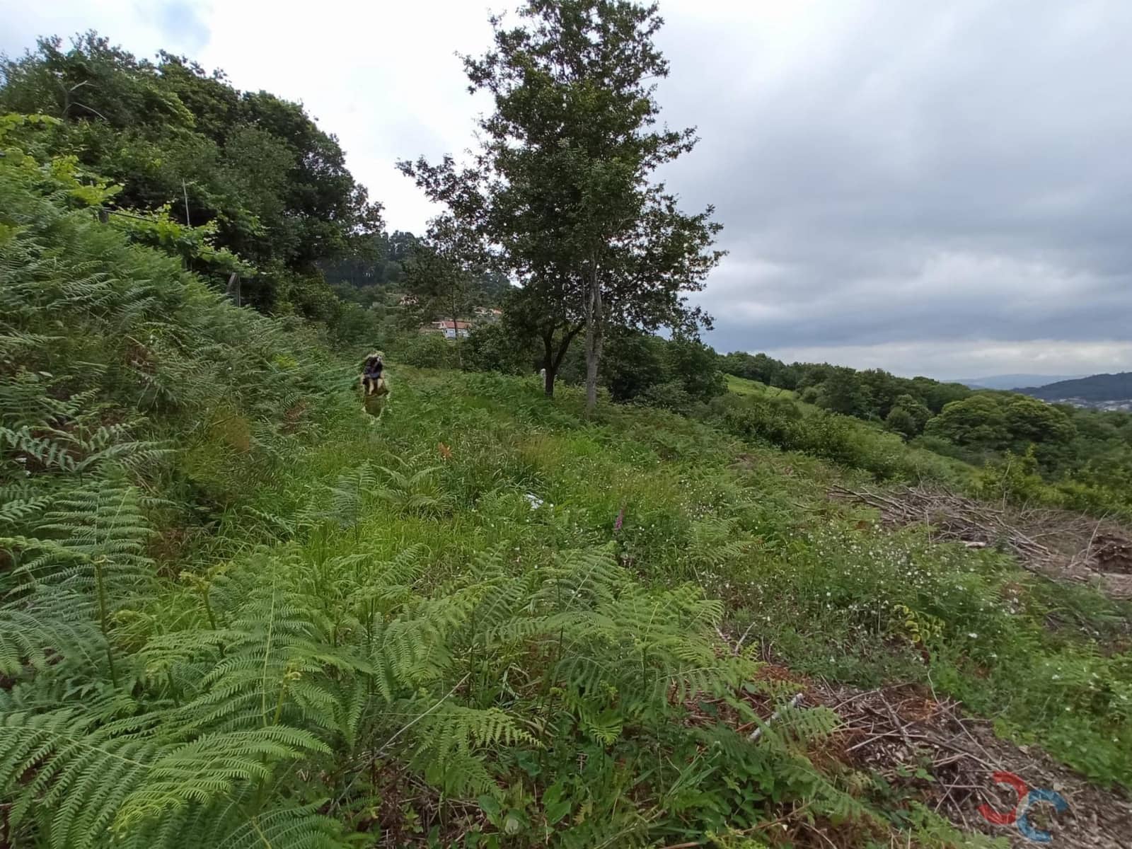 Building Plot for sale in Marin - € 15,000 (Ref: 8254891)