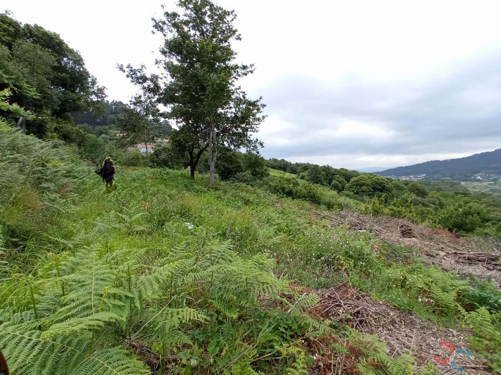 Building Plot for sale in Marin - € 15,000 (Ref: 8254891)