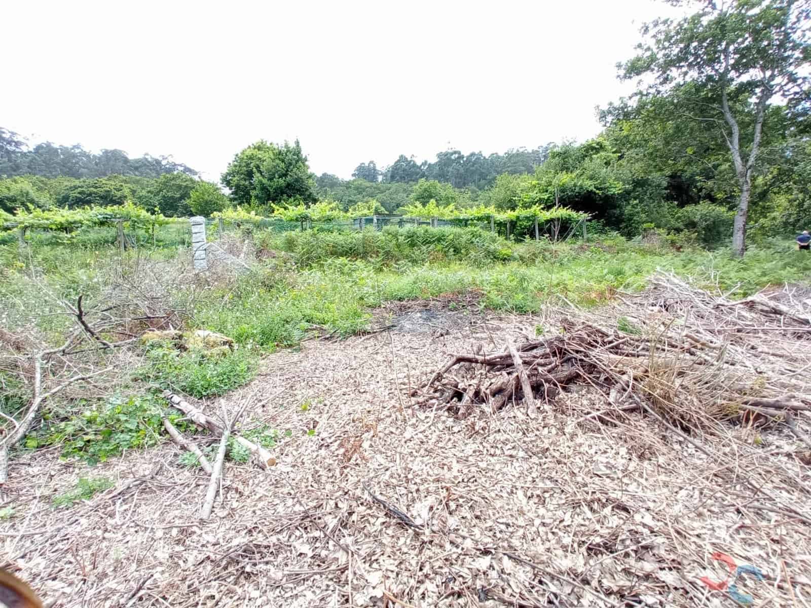 Building Plot for sale in Marin - € 15,000 (Ref: 8254891)