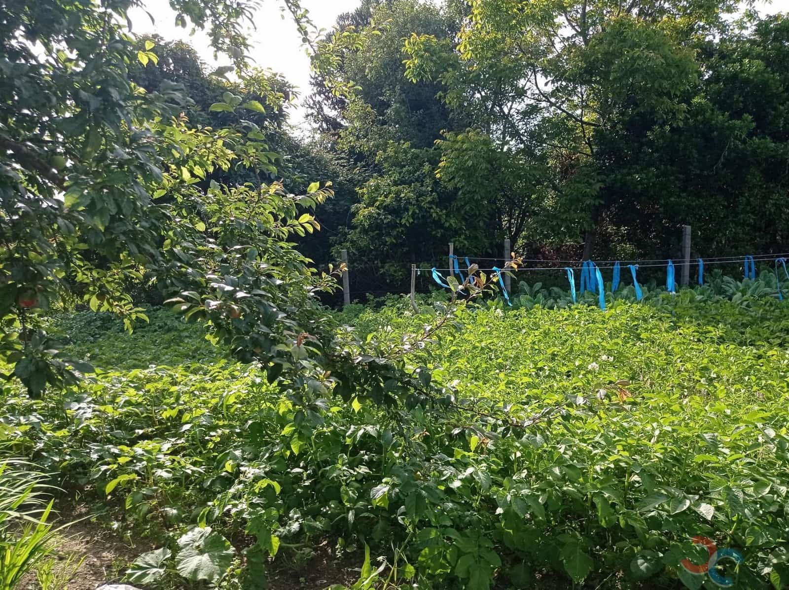 3 soveværelse Byhus til salg i Bueu - € 300.000 (Ref: 8332975)