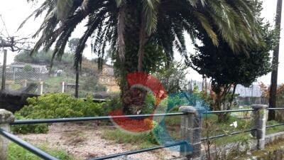 5 soveværelse Villa til salg i Marin - € 380.000 (Ref: 8409236)