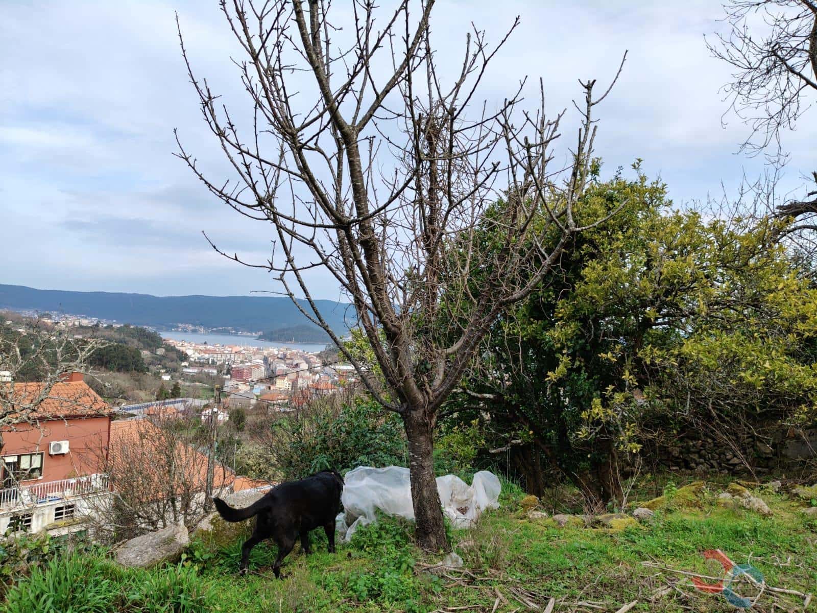 Ruin for sale in Marin - € 110,000 (Ref: 8824052)