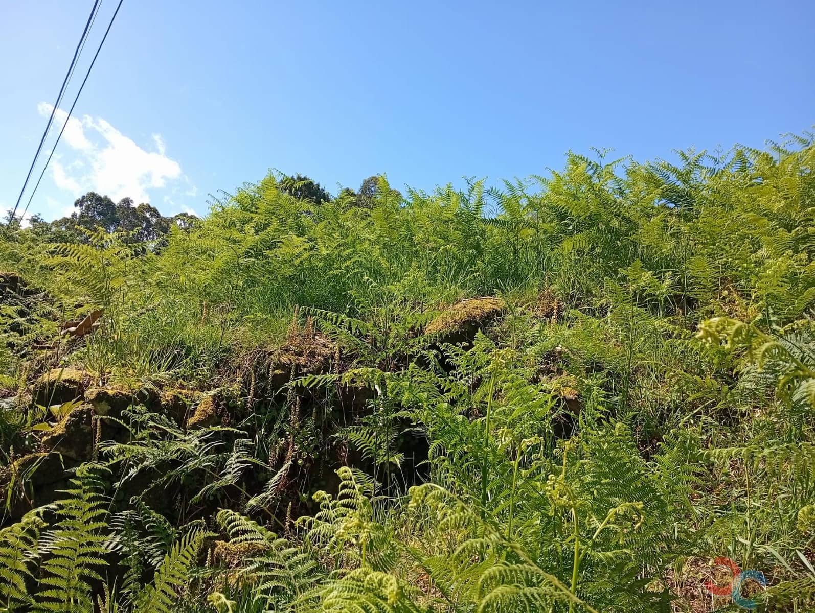 2 soverom Finca/Herregård til salgs i Pontevedra by - € 85 000 (Ref: 8968025)