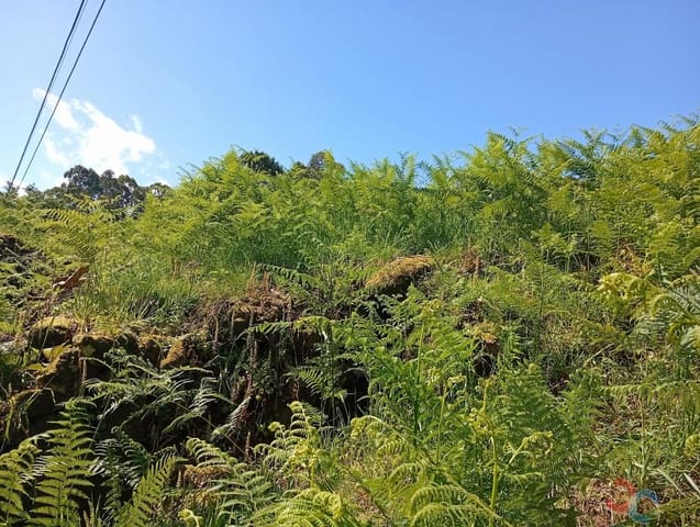 2 bedroom Finca/Country House for sale in Pontevedra city - € 85,000 (Ref: 8968025)