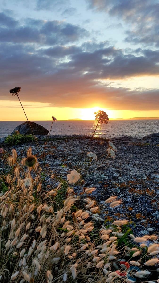 1 bedroom Finca/Country House for sale in Bueu - € 150,000 (Ref: 9087255)