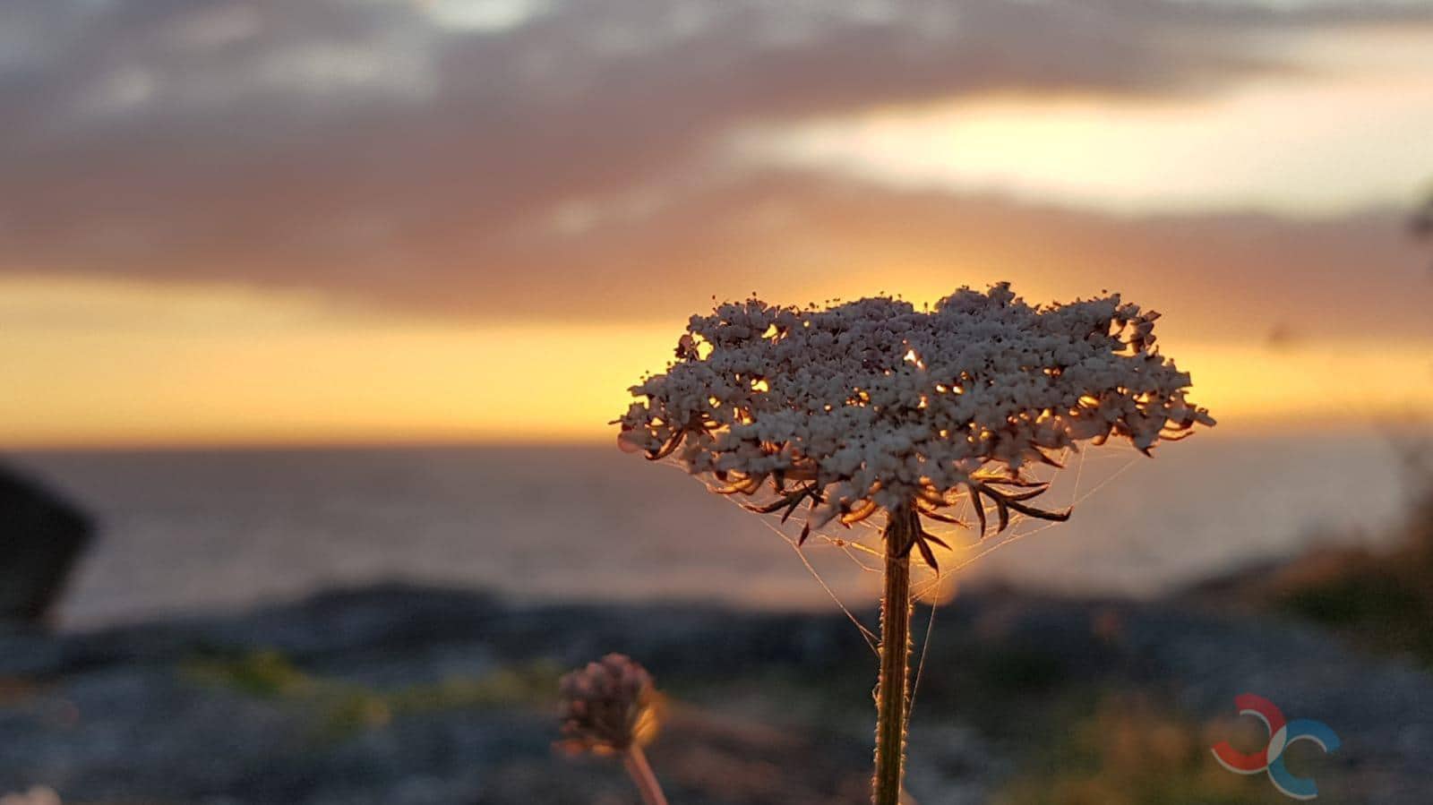 1 bedroom Finca/Country House for sale in Bueu - € 150,000 (Ref: 9087255)