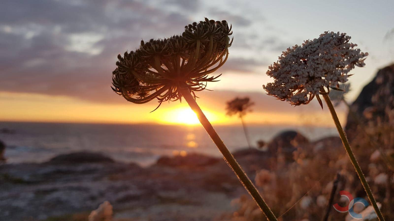 1 bedroom Finca/Country House for sale in Bueu - € 150,000 (Ref: 9087255)