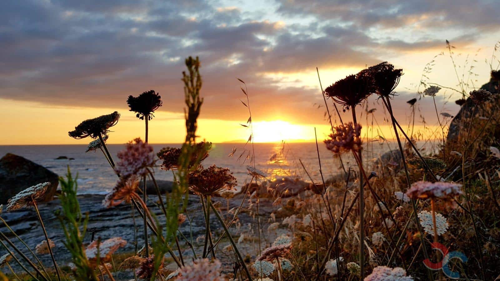 1 bedroom Finca/Country House for sale in Bueu - € 150,000 (Ref: 9087255)