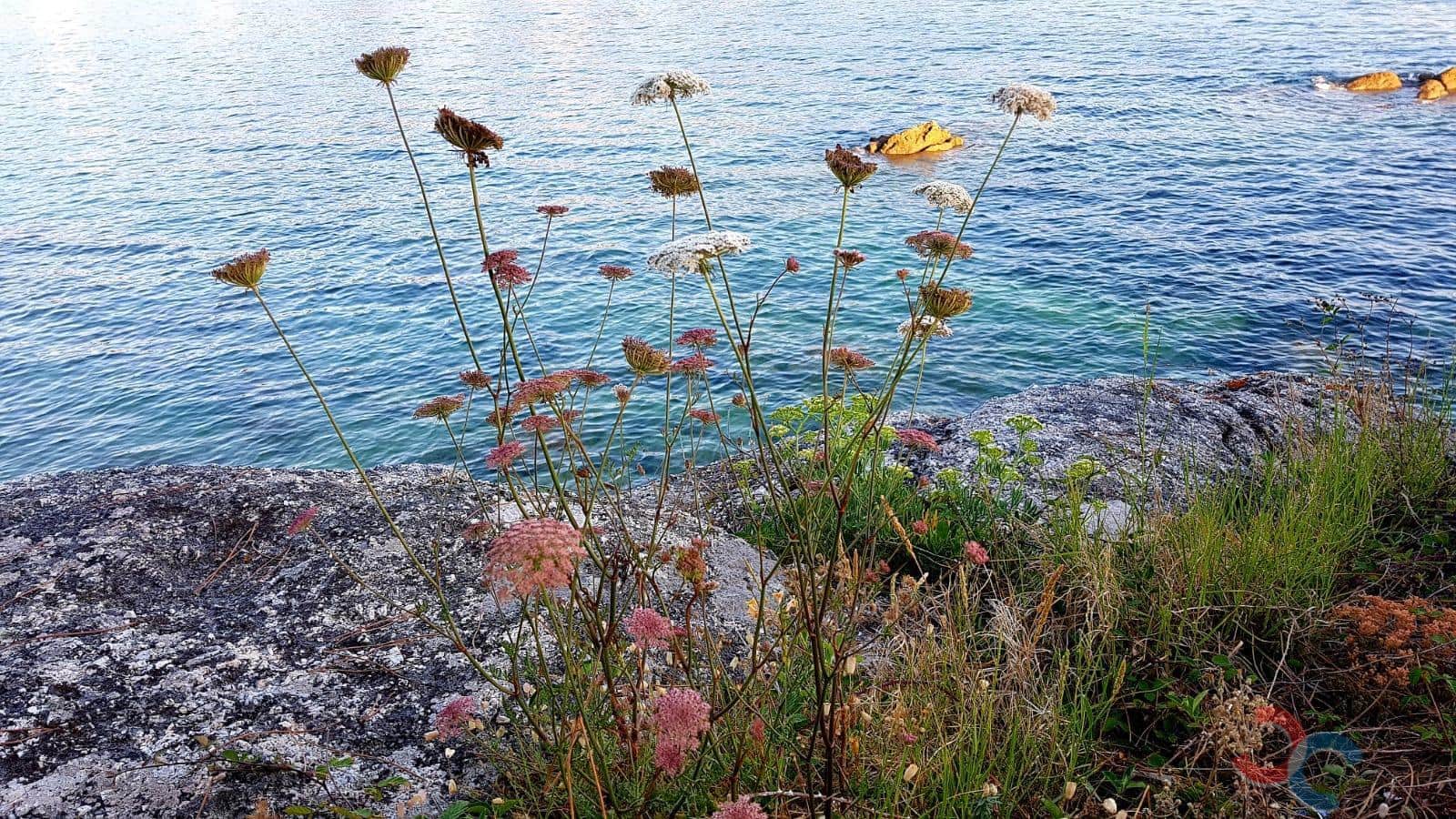 1 bedroom Finca/Country House for sale in Bueu - € 150,000 (Ref: 9087255)