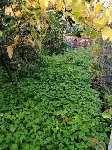 Building Plot for sale in Marín - € 60,000 (Ref: 9415672)