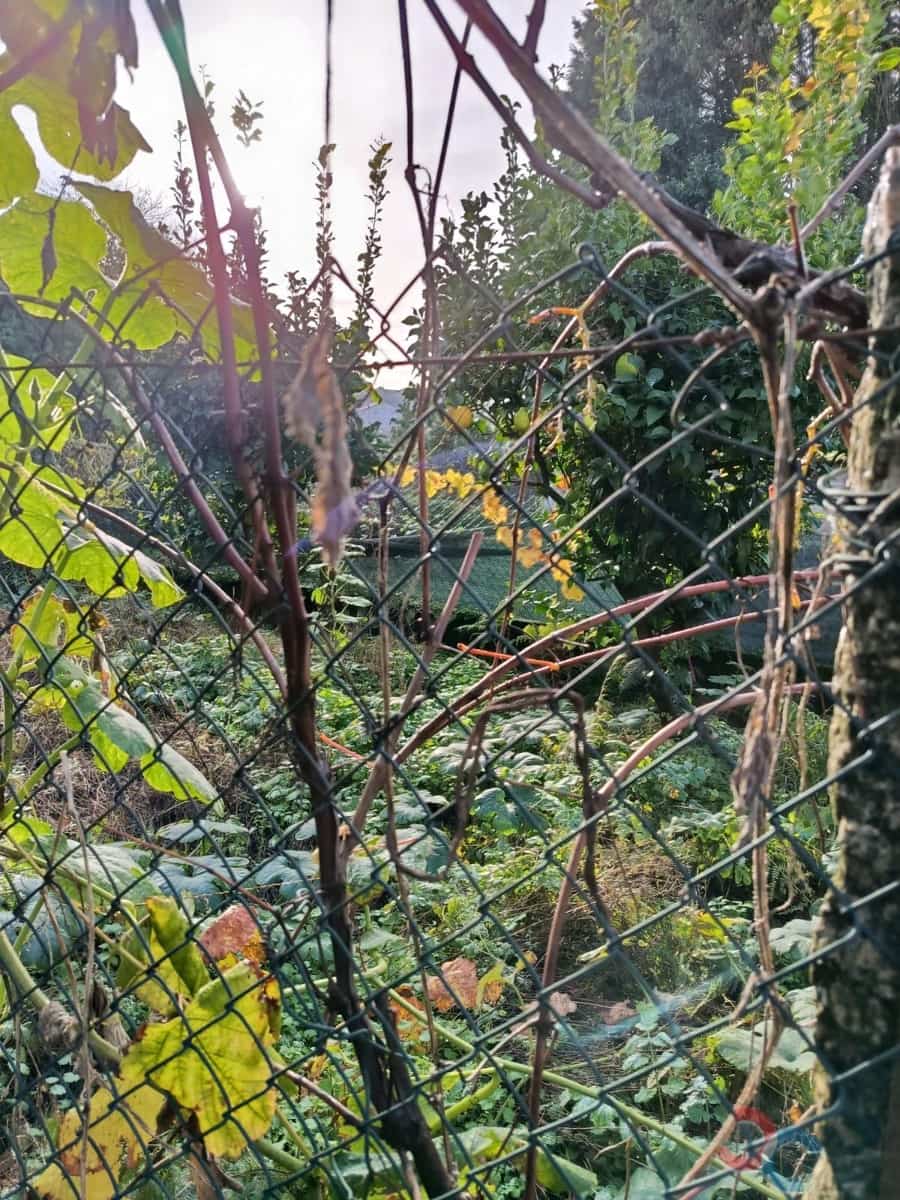 Byggetomt til salgs i Marin - € 60 000 (Ref: 9415672)