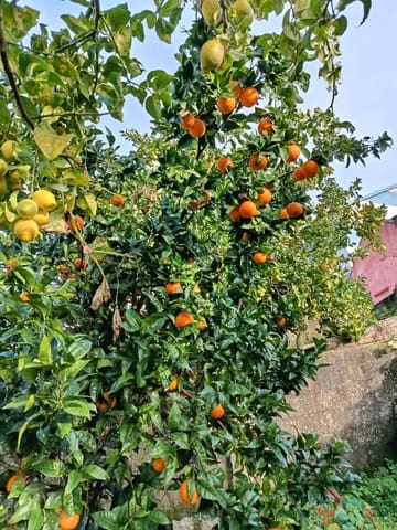 Building Plot for sale in Marín - € 60,000 (Ref: 9415672)