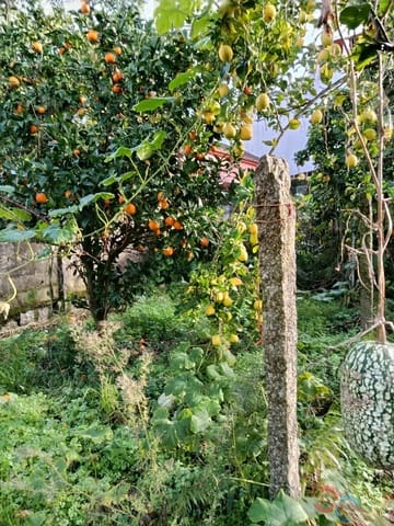 Building Plot for sale in Marín - € 60,000 (Ref: 9415672)