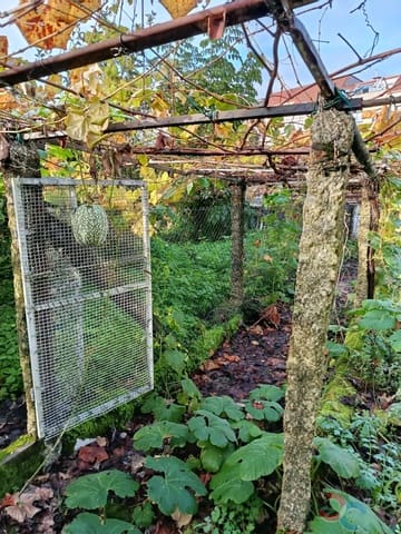 Building Plot for sale in Marín - € 60,000 (Ref: 9415672)