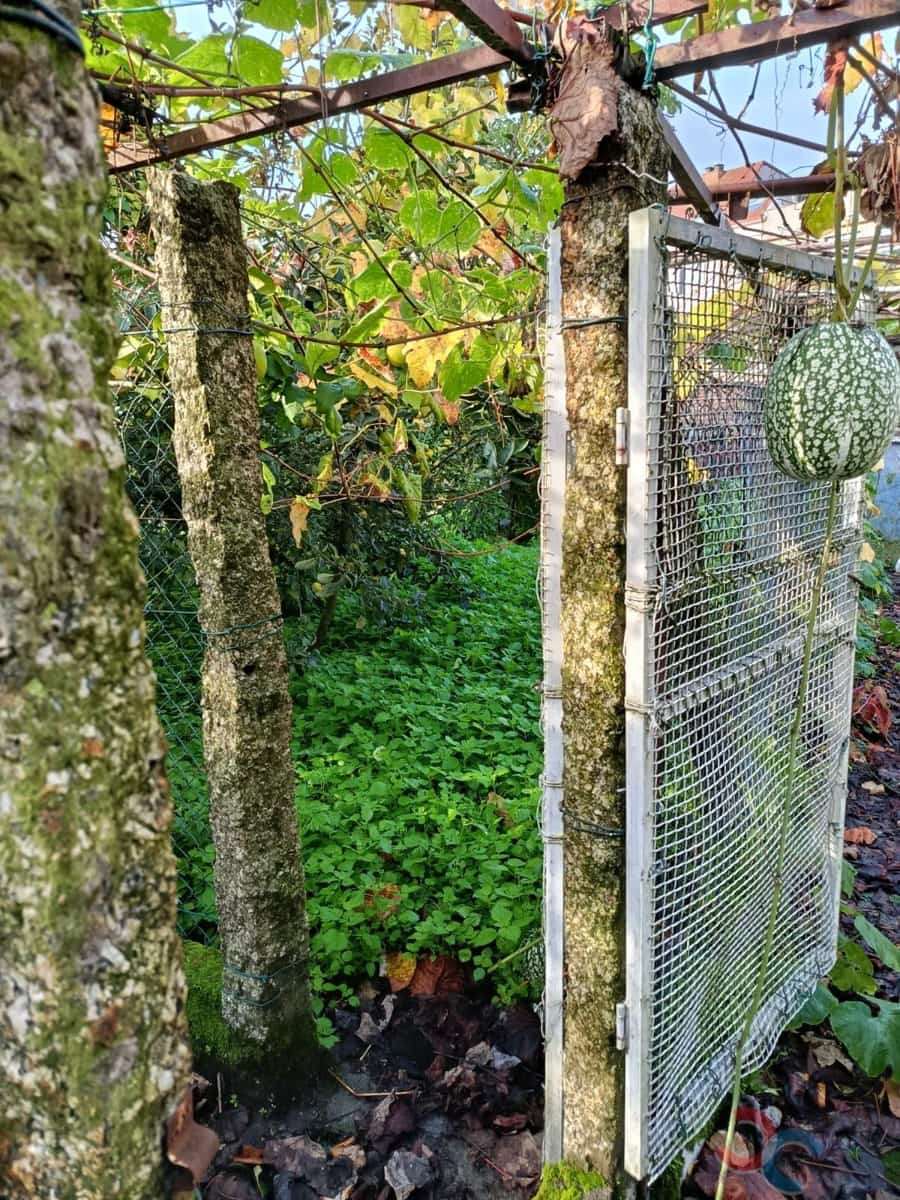 Byggetomt til salgs i Marin - € 60 000 (Ref: 9415672)