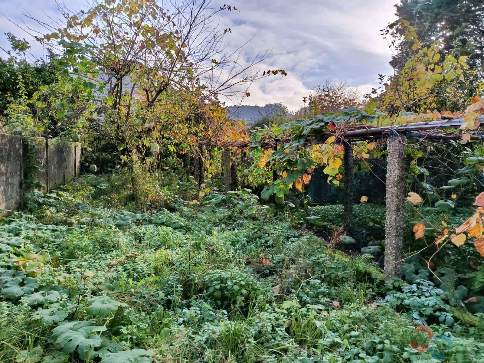 Byggetomt til salgs i Marin - € 60 000 (Ref: 9415672)