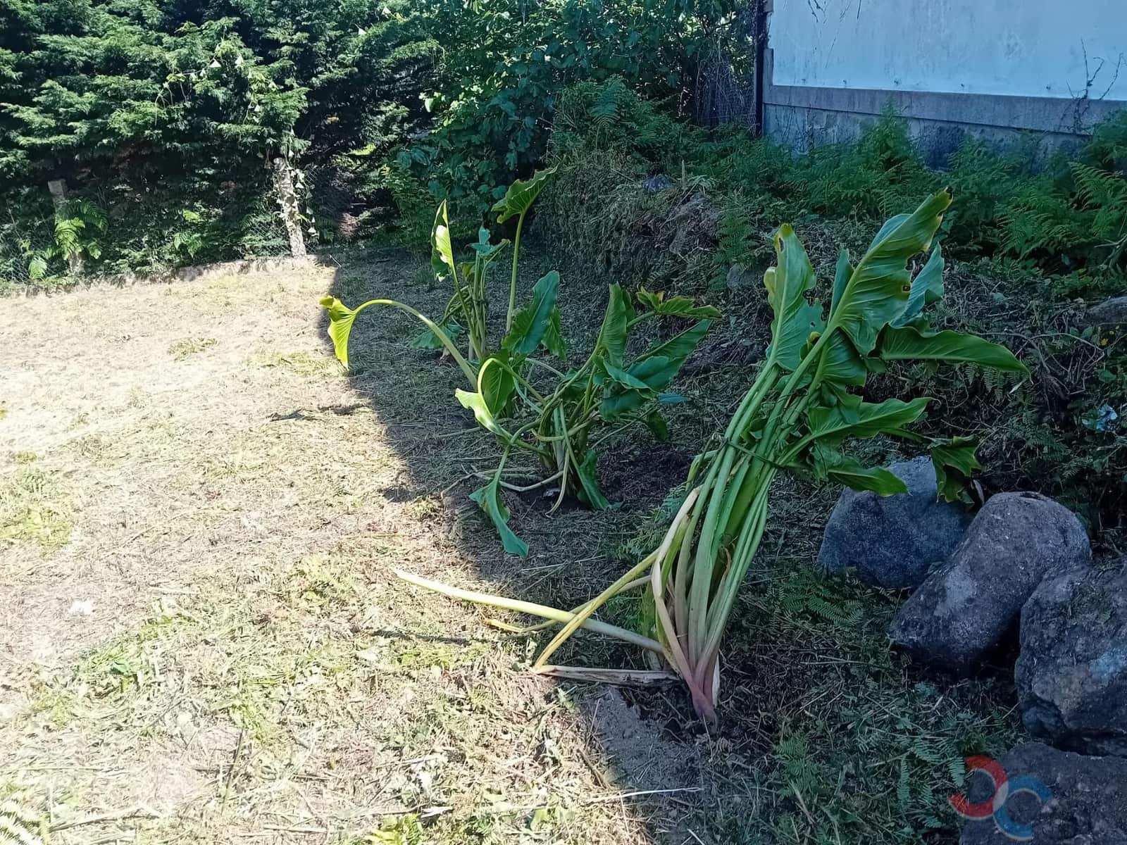 Building Plot for sale in Pontevedra city - € 18,000 (Ref: 9867121)