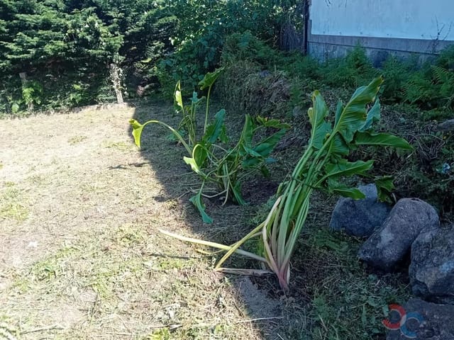 Building Plot for sale in Pontevedra city - € 18,000 (Ref: 9867121)