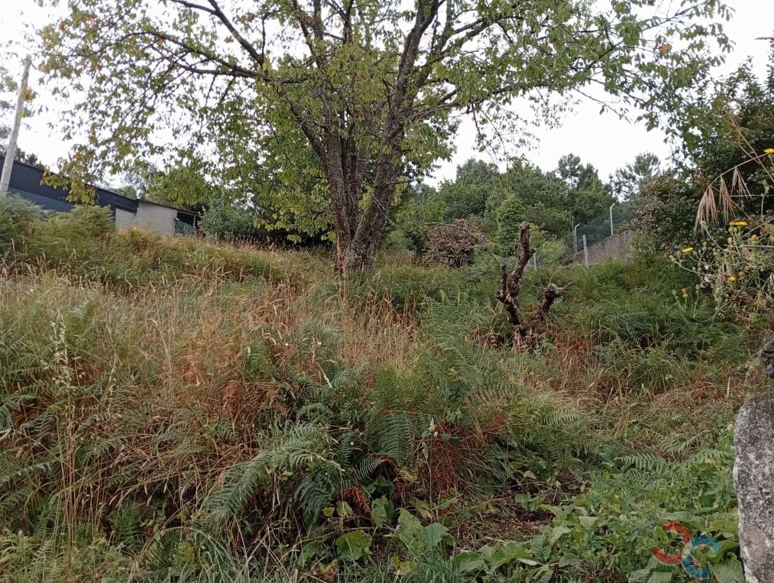 2 sovrum Finca/Hus på landet till salu i Marin med garage - 100 000 € (Ref: 9966751)