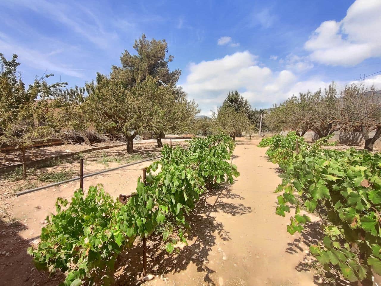 3 soverom Finca/Herregård til salgs i Ibi med svømmebasseng - € 275 000 (Ref: 8318838)