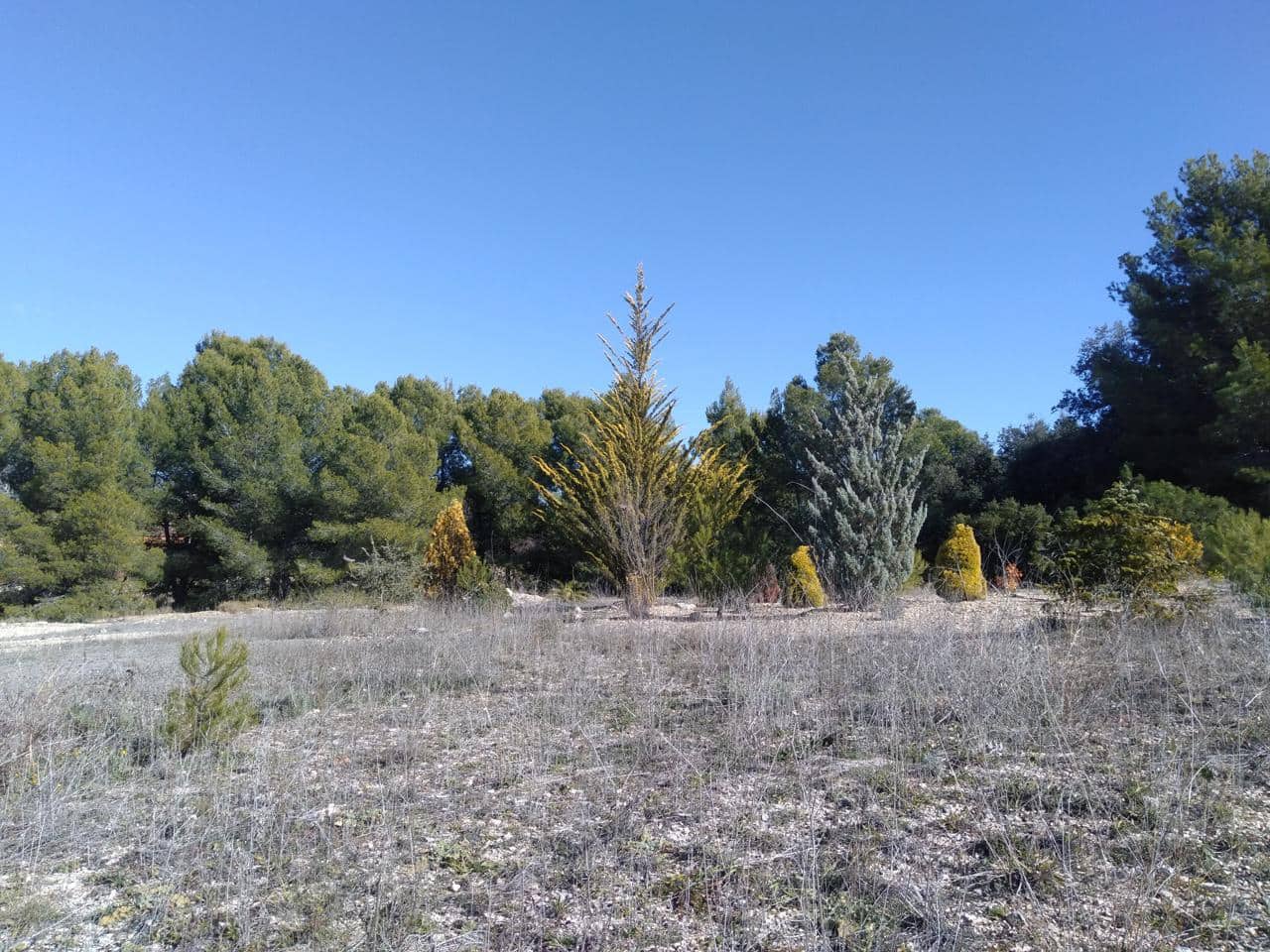 1 makuuhuone Huvila myytävänä paikassa Ibi - 228 000 € (Ref: 8318839)