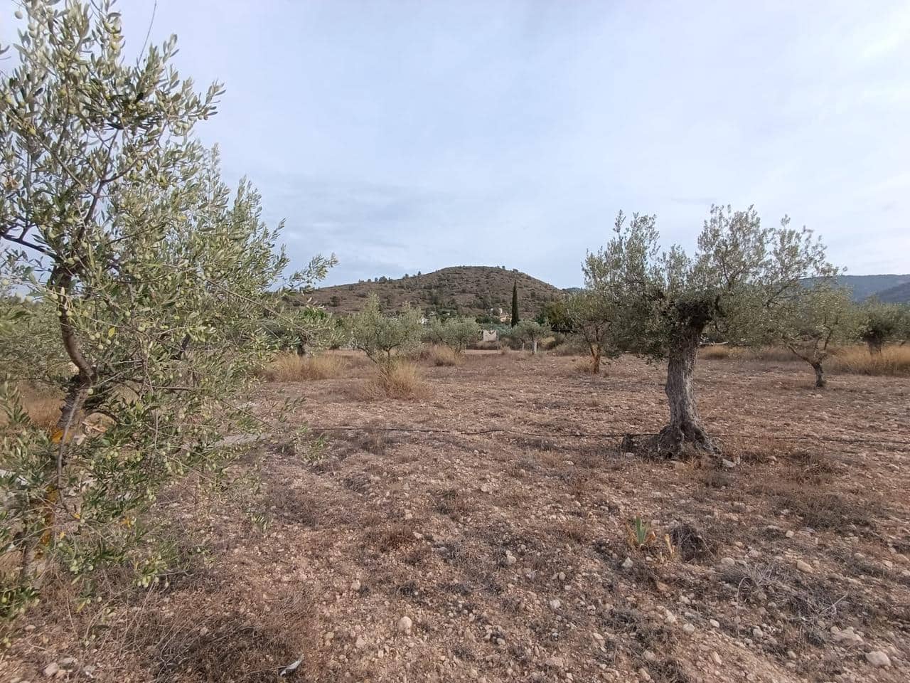 3 sypialnia Finka/Dom wiejski na sprzedaż w Castalla z basenem - 325 000 € (Ref: 9383713)