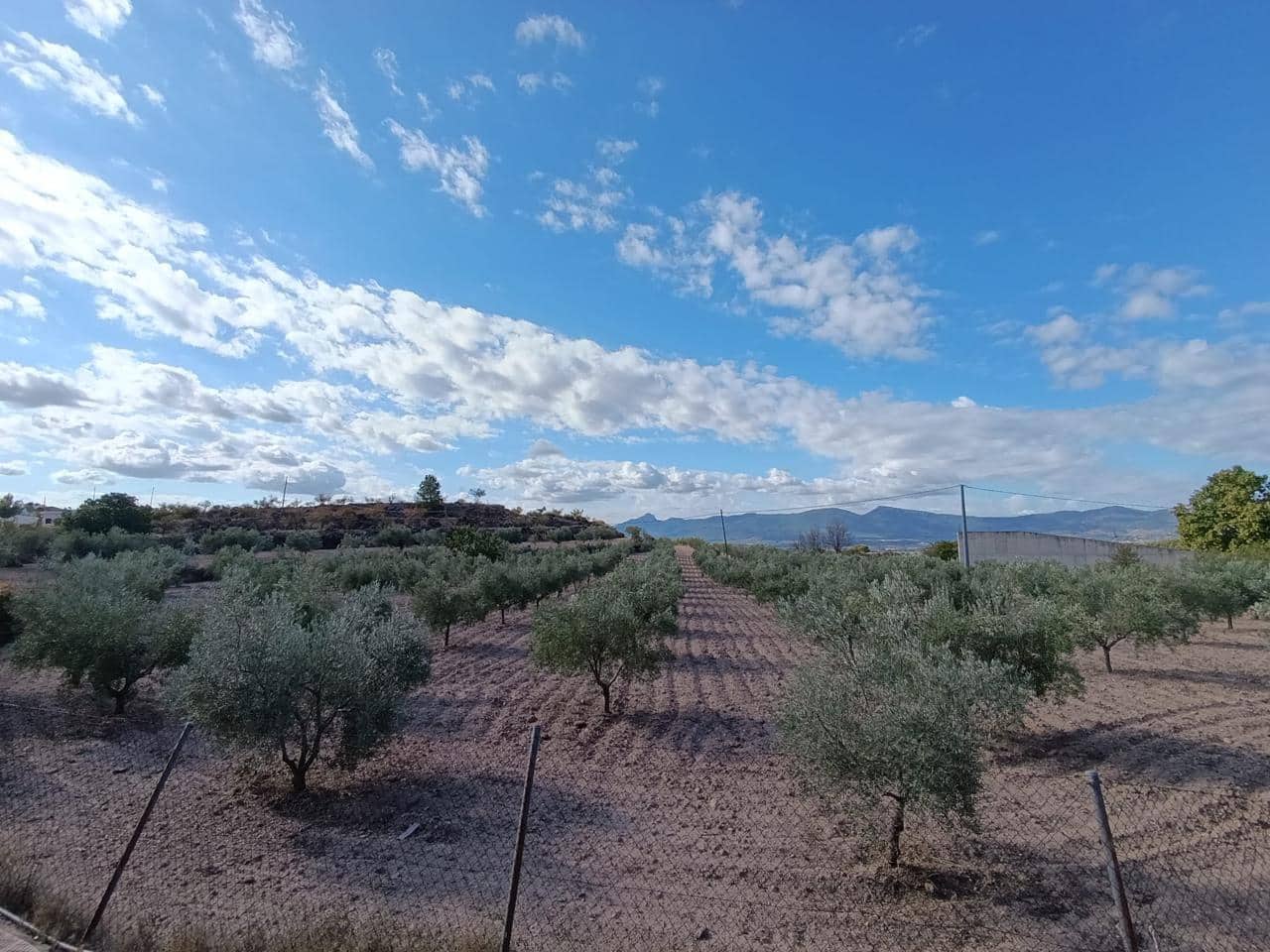 4 makuuhuone Huvila myytävänä paikassa Ibi mukana uima-altaan - 325 000 € (Ref: 9383714)