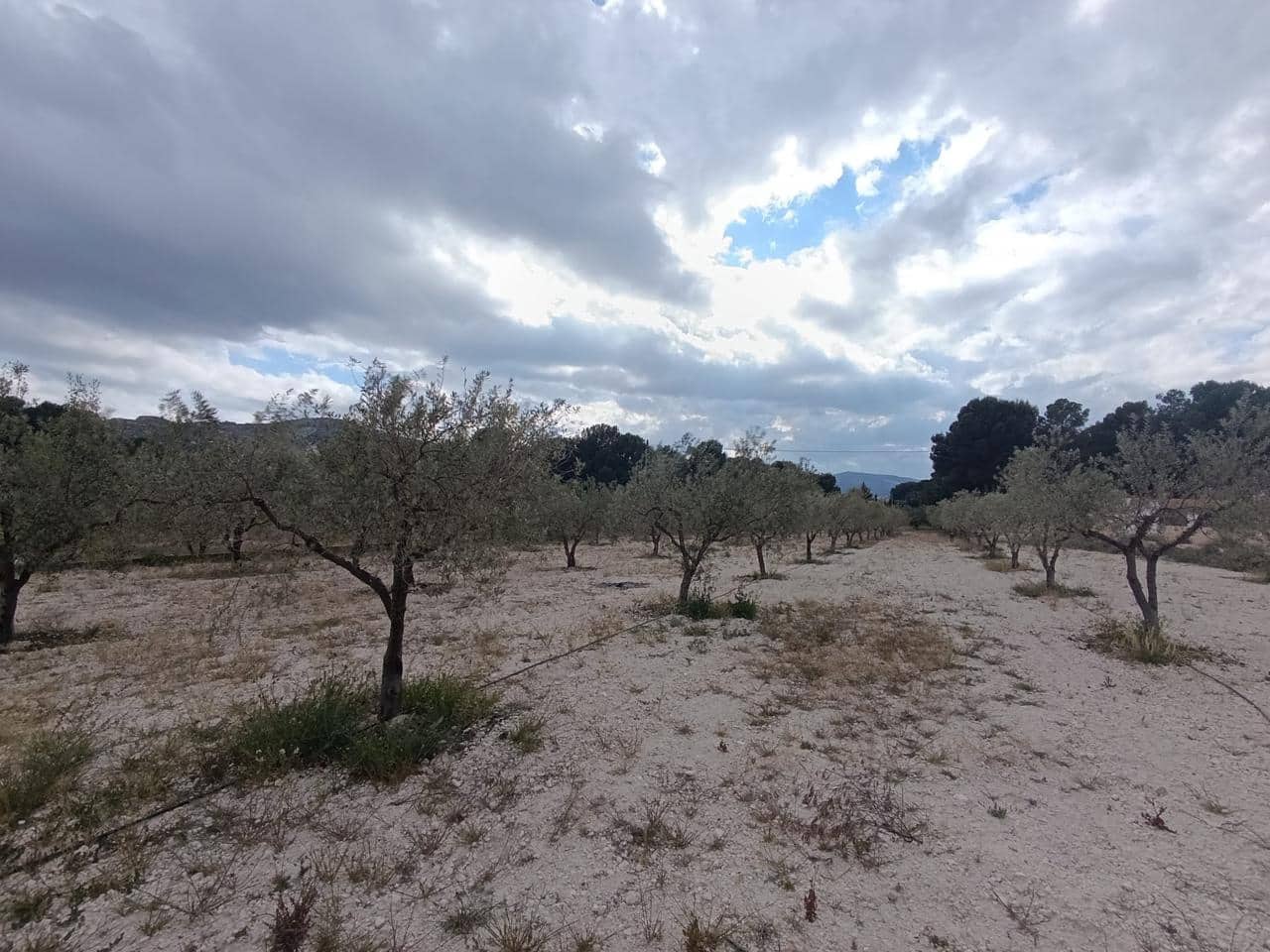 4 slaapkamer Finca/Landhuis te koop in Castalla met zwembad - € 365.000 (Ref: 9383715)