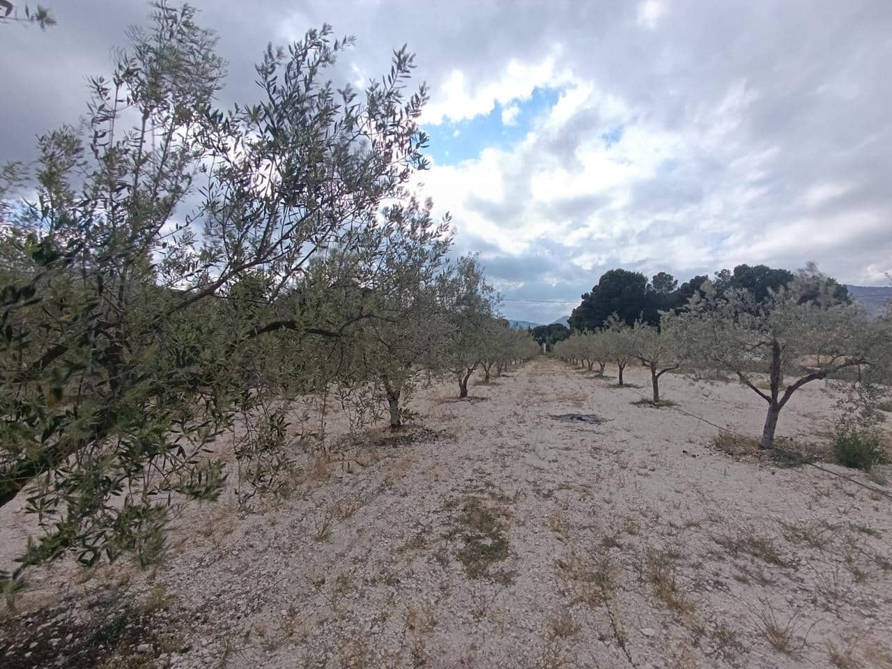 4 slaapkamer Finca/Landhuis te koop in Castalla met zwembad - € 365.000 (Ref: 9383715)