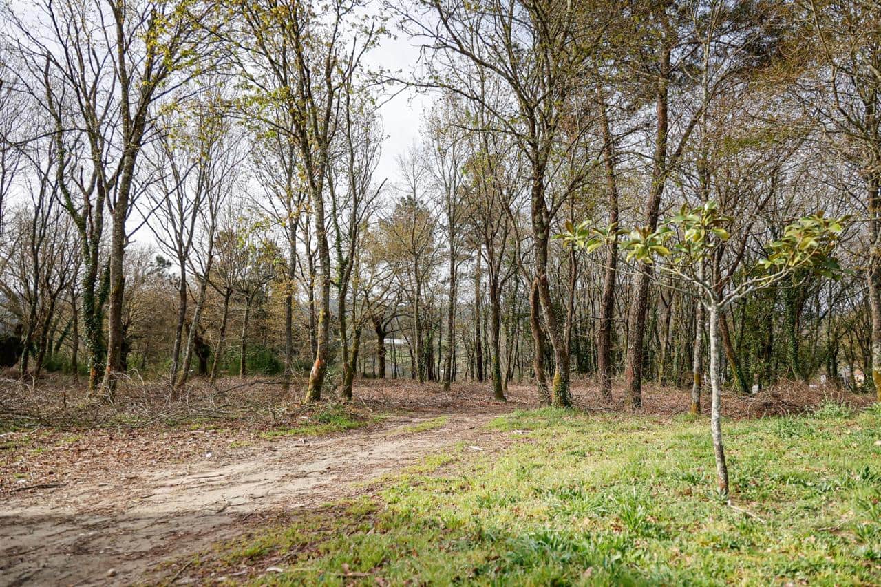 6 soveværelse Byhus til salg i Vedra - € 625.000 (Ref: 8307202)