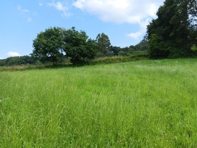 3 chambre Maison de Ville à vendre à Silleda - 65 000 € (Ref: 9032366)