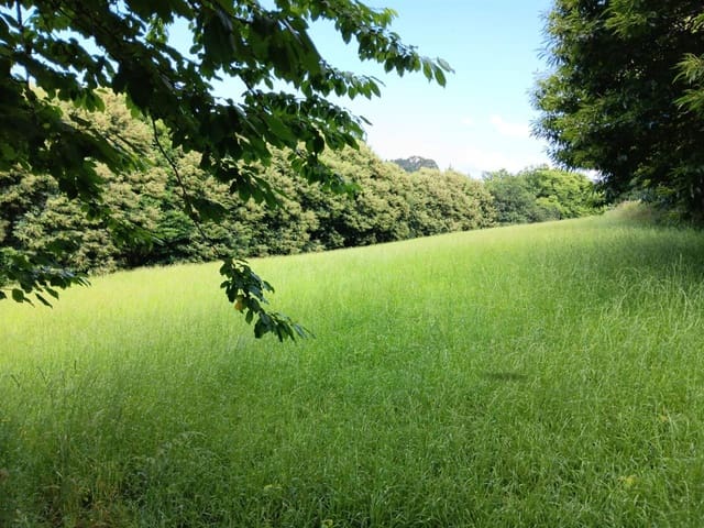 3 chambre Maison de Ville à vendre à Silleda - 65 000 € (Ref: 9032366)