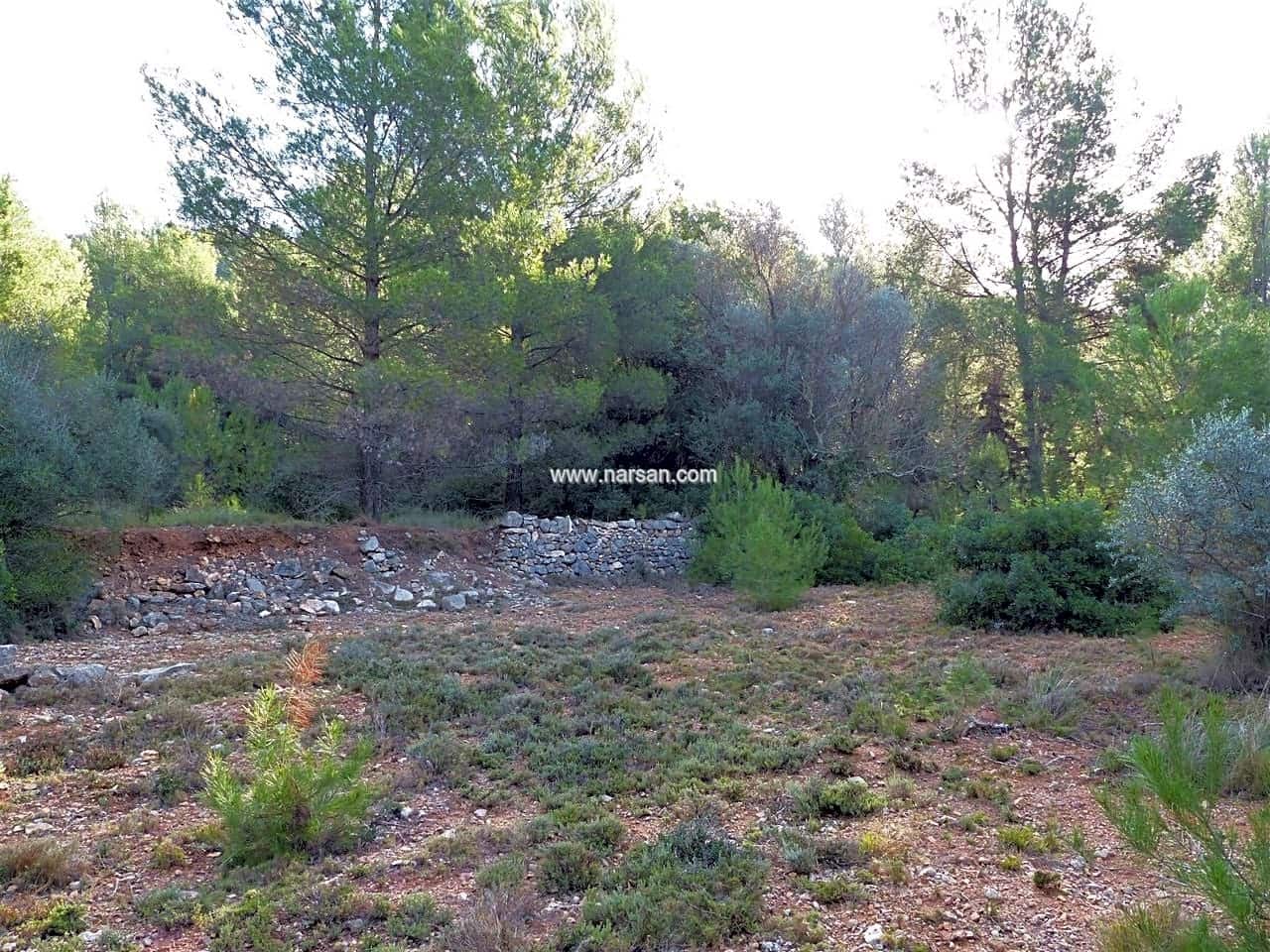 Undeveloped Land for sale in La Pobla Tornesa - € 99,500 (Ref: 6346984)