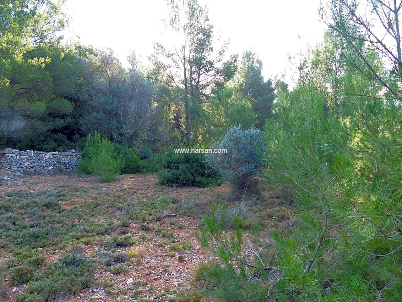 Undeveloped Land for sale in La Pobla Tornesa - € 99,500 (Ref: 6346984)
