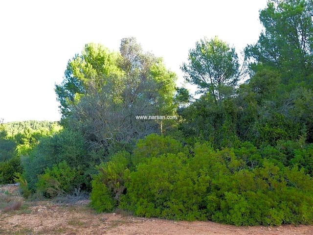 Ubebygd land til salgs i La Pobla Tornesa - € 99 500 (Ref: 6346984)