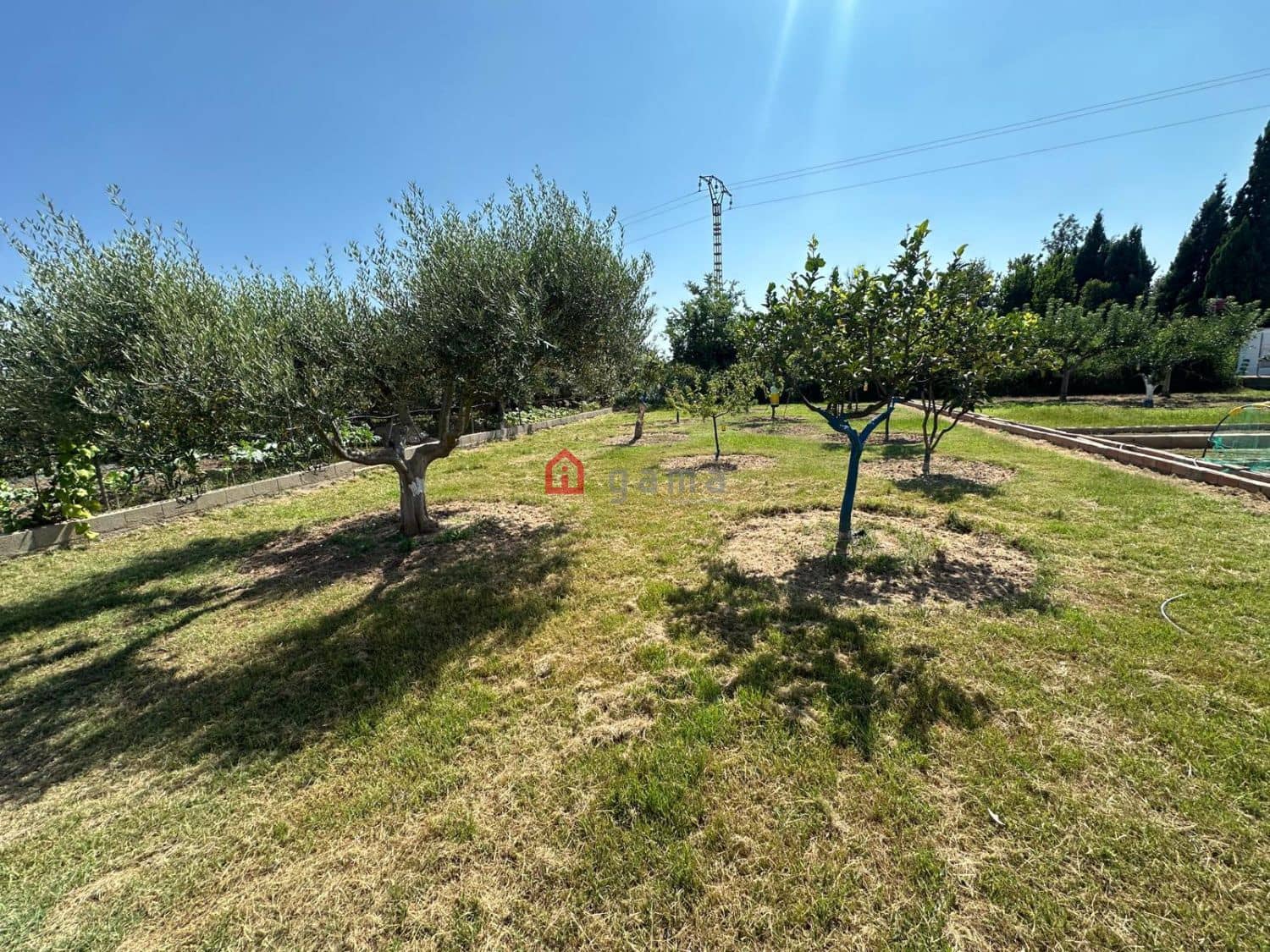 Terreno Non Edificato in vendita in Castello de la Plana - 55.000 € (Rif: 10031608)