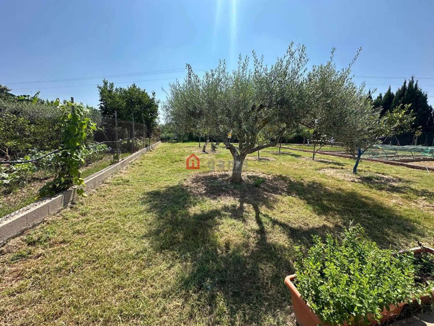 Terreno Non Edificato in vendita in Castello de la Plana - 55.000 € (Rif: 10031608)