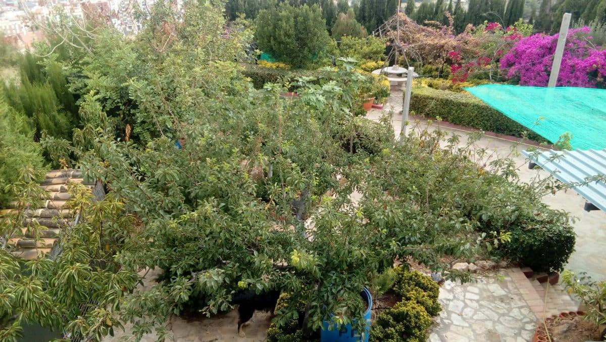 Grond te koop in La Vall d'Uixo - € 75.000 (Ref: 4456704)