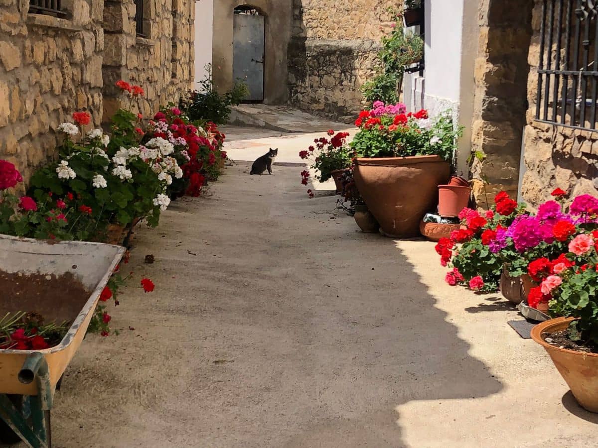 20 soveværelse Hotel til salg i Puebla de Arenoso - € 750.000 (Ref: 6426229)