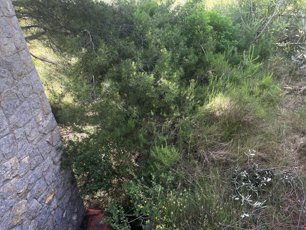 2 soveværelse Byhus til salg i Castello de la Plana - € 98.000 (Ref: 6919301)