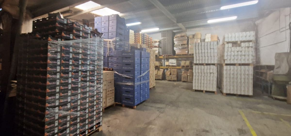 Virksomhed til leje i Alcala de Xivert - € 1.600 (Ref: 7987581)