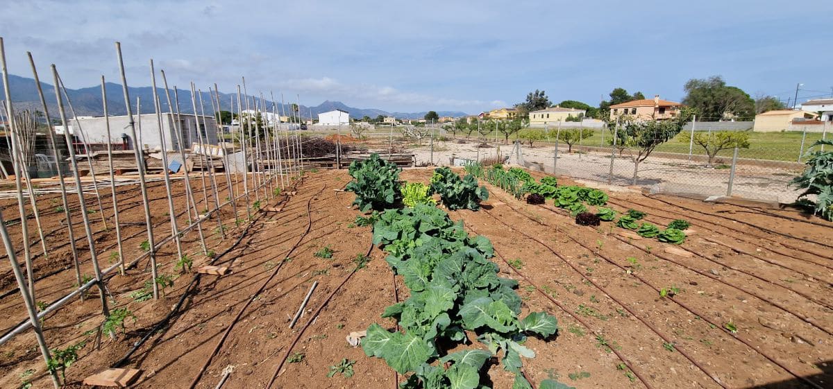 5 makuuhuone Paritalo myytävänä paikassa Castello de la Plana mukana 
autotalli - 550 000 € (Ref: 8112492)