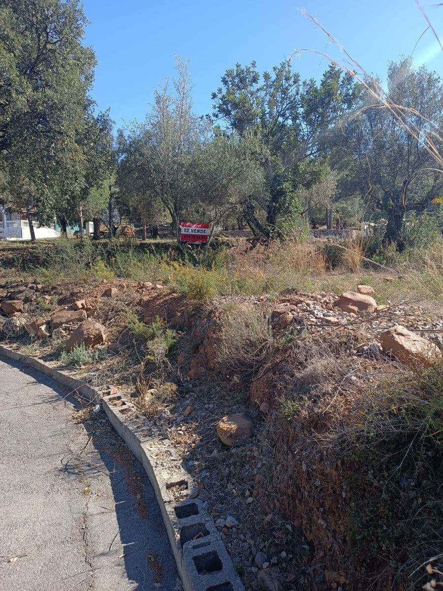 Grunde uden byggetilladelser til salg i Artana - € 80.000 (Ref: 8213111)