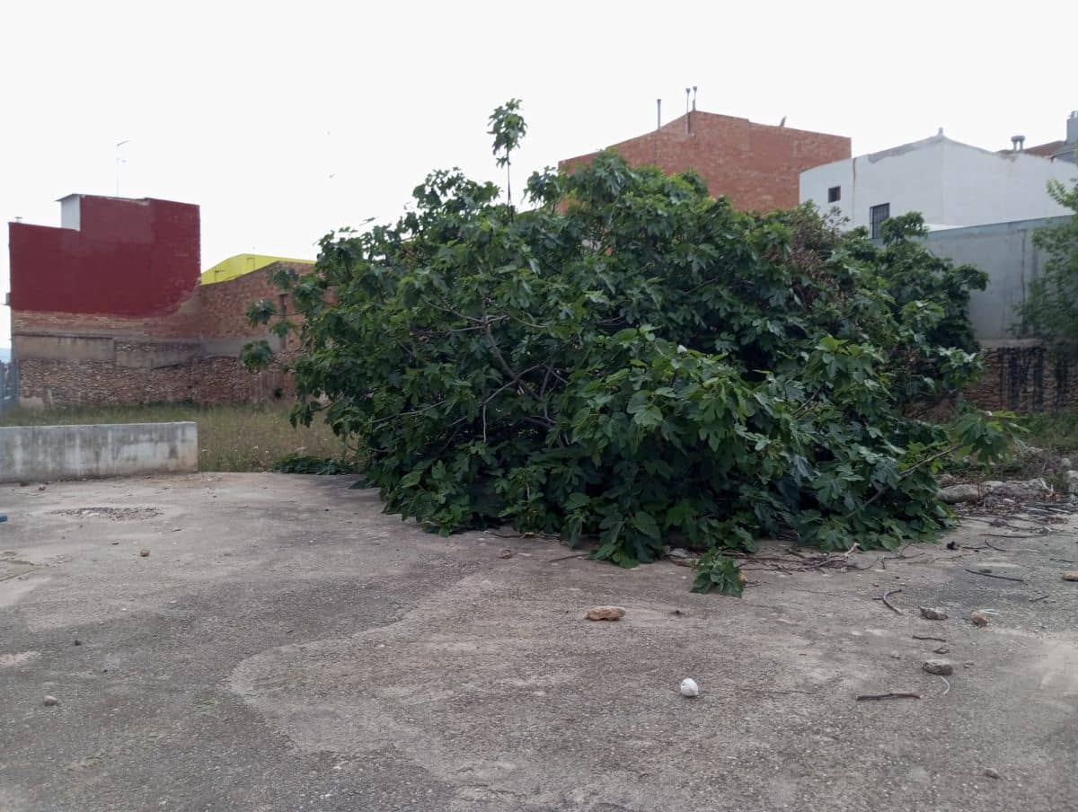 Terre non Aménagée à vendre à Vila-real - 93 000 € (Ref: 8284139)