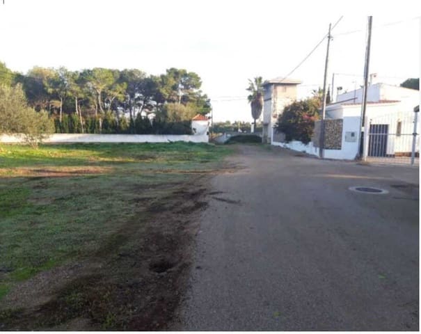 Grond te koop in Vinaròs - € 44.000 (Ref: 8359492)