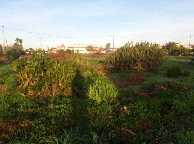 Grond te koop in Vinaròs - € 44.000 (Ref: 8359492)