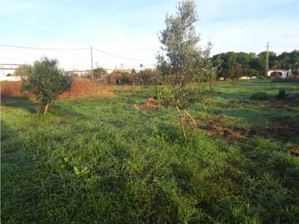 Mark till salu i Vinaros - 44 000 € (Ref: 8359492)